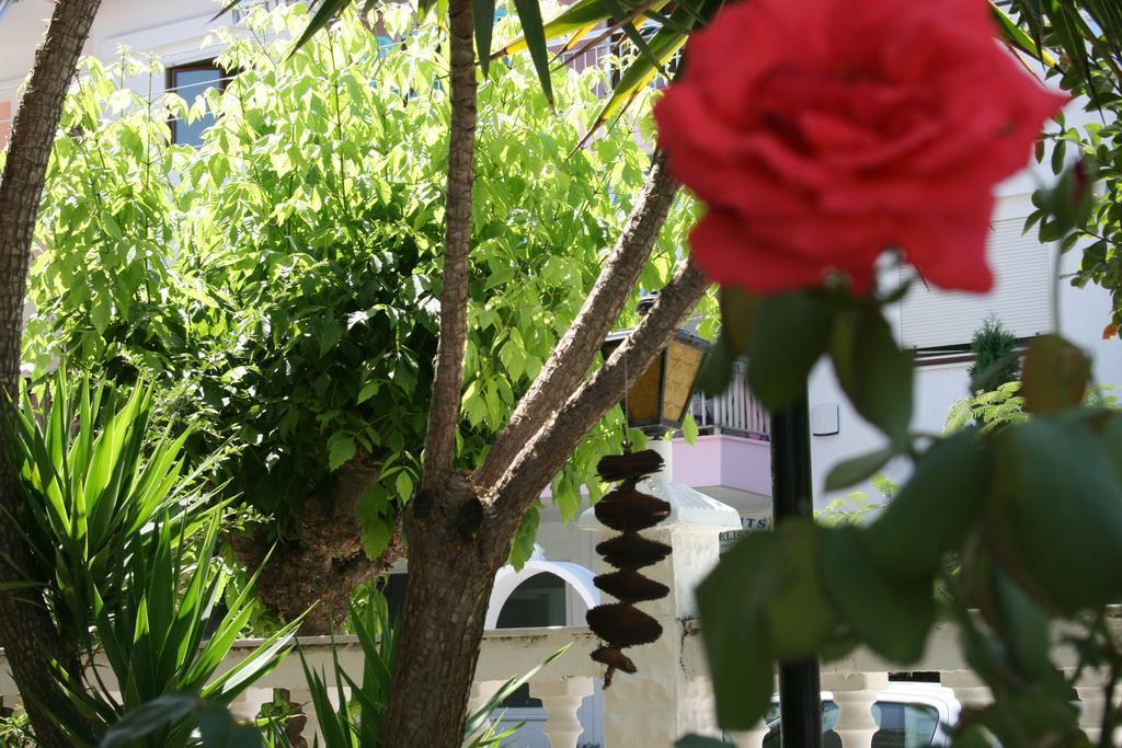 Dionisos Palms Apartments Paralia Dionysiou Room photo